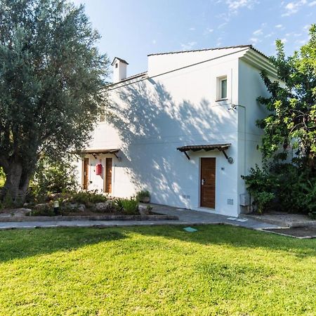 Villa Andratx Puerto de Andratx Ngoại thất bức ảnh